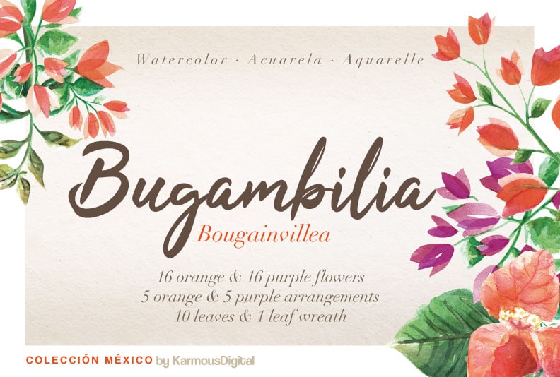 Bugambilias en Acuarela, Color y Frescura - Karmous Digital